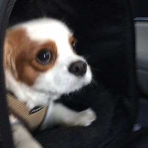 Meet your Posher, Cathy